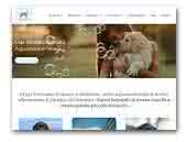 Aquamarine-Wave Labradors