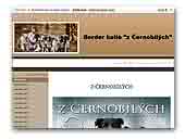 Border collies z Černobílých