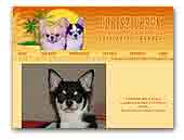 Christichsun Chihuahua Kennel