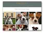 Dobermann Dobgun's Kennel