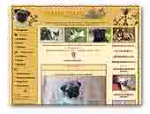 Shani Shan Chihuahuas