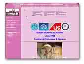 Chihuahuas Nueva Sorpresa