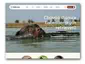Labrador Retrievers Tetrevi dvur Kennel
