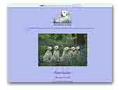 Labrador Retrievers Winsleywood Kennel