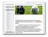 Havanese Z Vinného domu