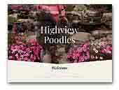 Highview standard Poodles
