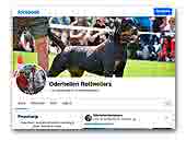 Oderhellen Rottweilers