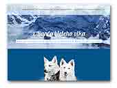 White Swiss Shepherd and Welsh Corgi Cardigan z Ranča bieleho vlka