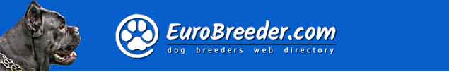 Cane Corso Italiano Breeders - Europe, Americas abd Australia