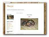 MECYJEhavanese kennel