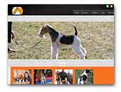 TonyaWire Kennel Scottish Terrier